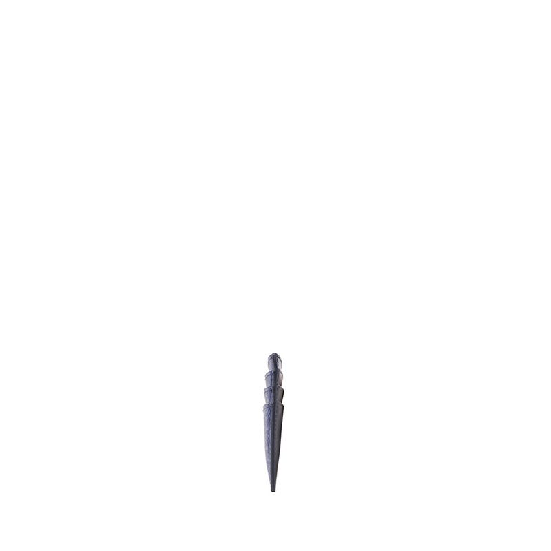 image-2a47b8df1d33459ea6e054c7ba961417