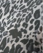 image-9fc1bc009c4c4dbea759e78139f5e180