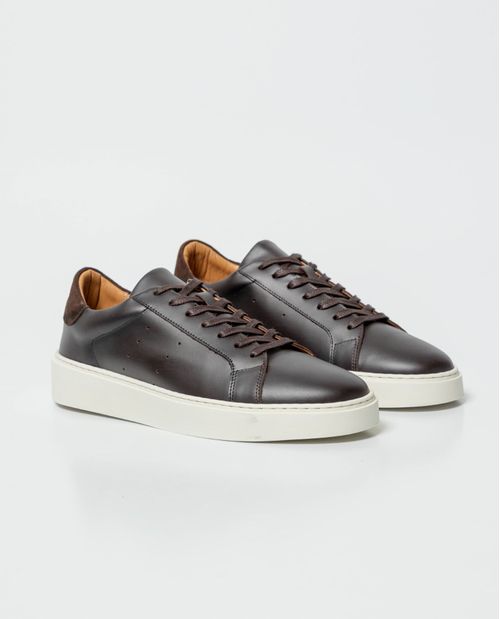 Zapato Tenis  Masculino