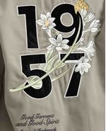 image-bcd2a0eb948a4501992bd8cbcd504de0