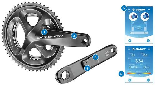 Potenciometro Giant Power Pro R8000 50X34 172.5