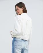 image-db419199967a4da9ba1cb724b05ac7ac