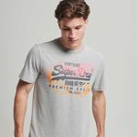 image-670ca69d530740ddb3e7d29d2187e51c