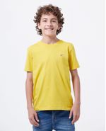 image-567c755a6c3d49b093bfcdd9c759c248
