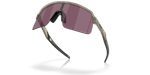 image-0b930e21060c417485e1e7472e7c5830